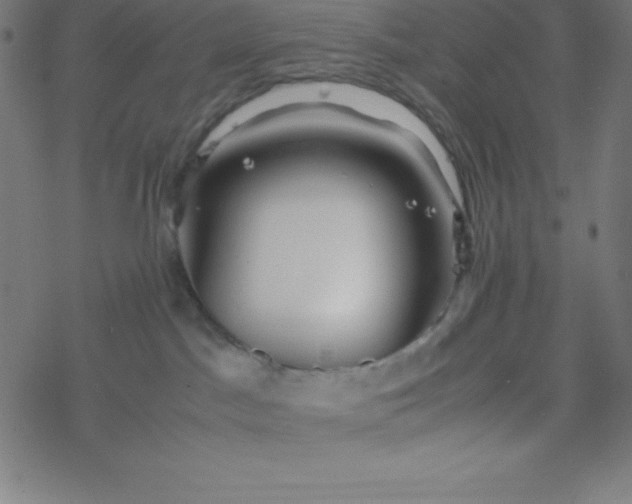 X0000077380045200611031947