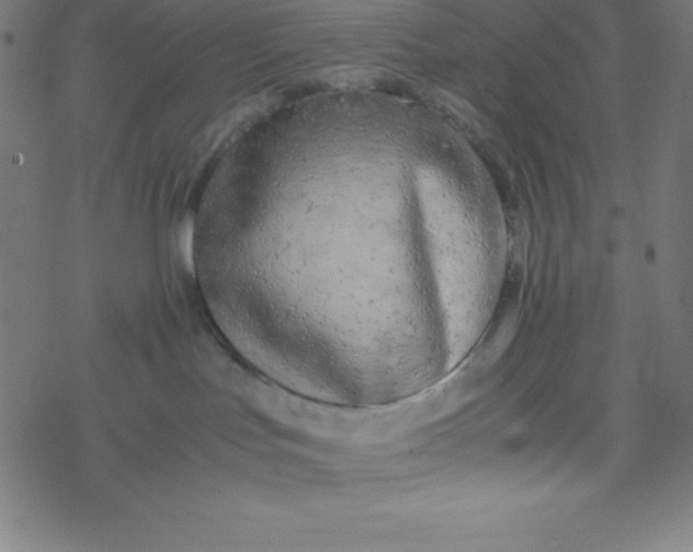 X0000077380047200611031947