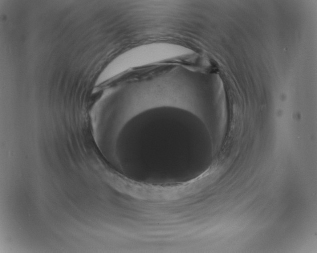 X0000077380048200611031947