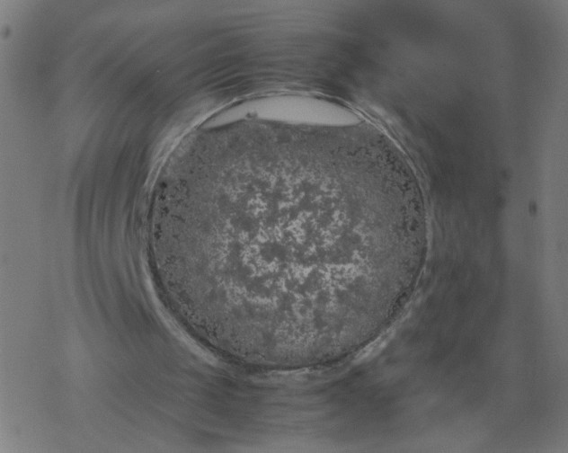 X0000077380049200611031946