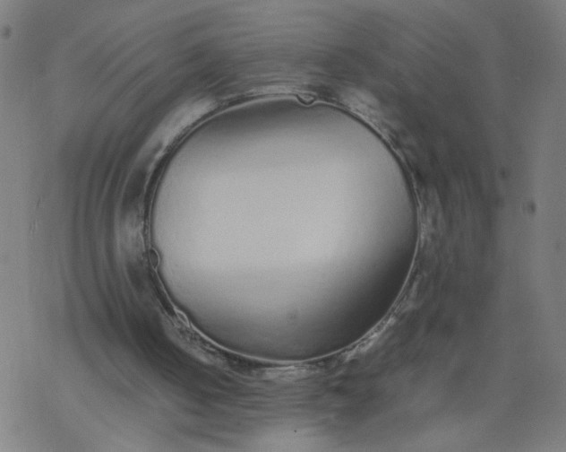 X0000077380050200611031946