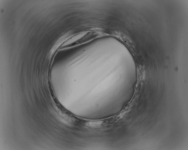 X0000077380051200611031946