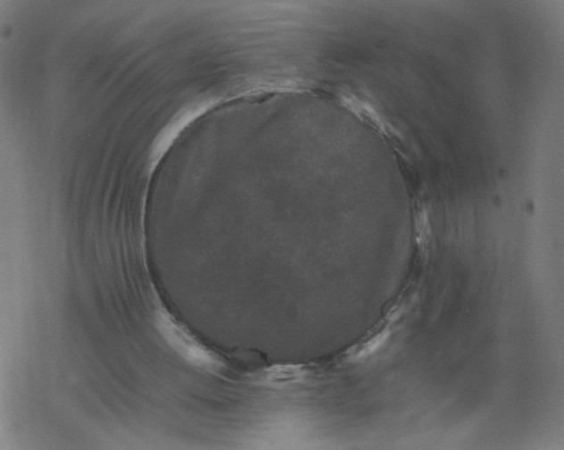 X0000077380052200611031946