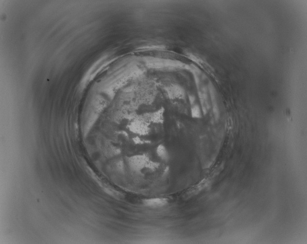 X0000077380053200611031946