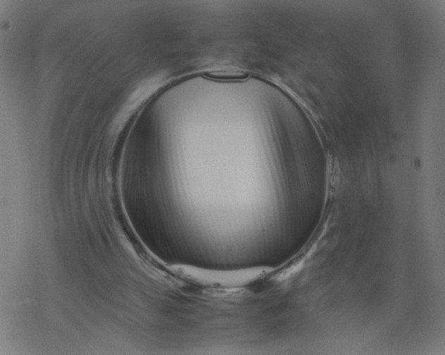 X0000077380055200611031946