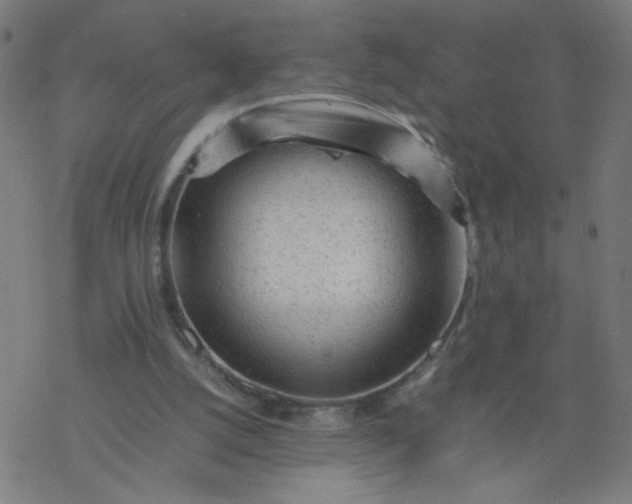 X0000077380056200611031947