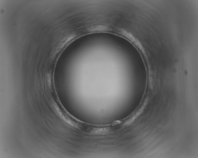 X0000077380057200611031947