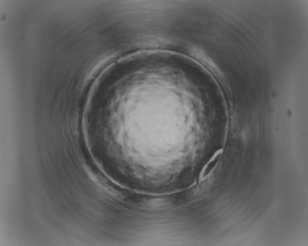 X0000077380058200611031947