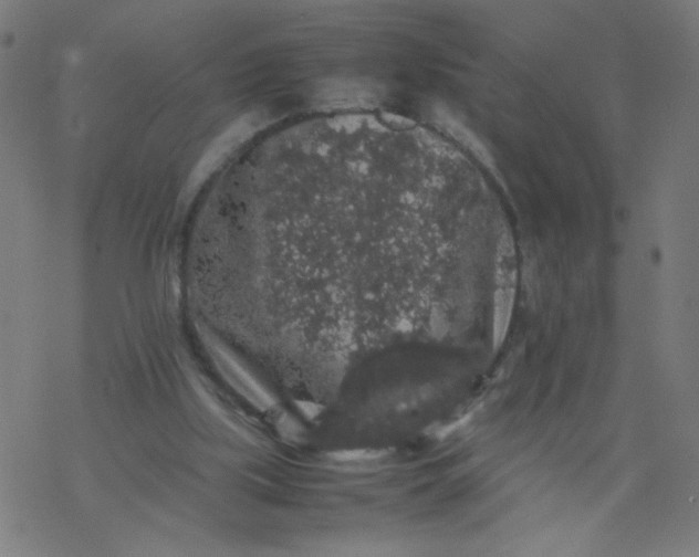 X0000077380059200611031947