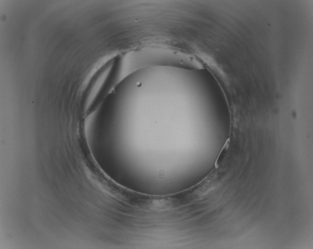 X0000077380060200611031947