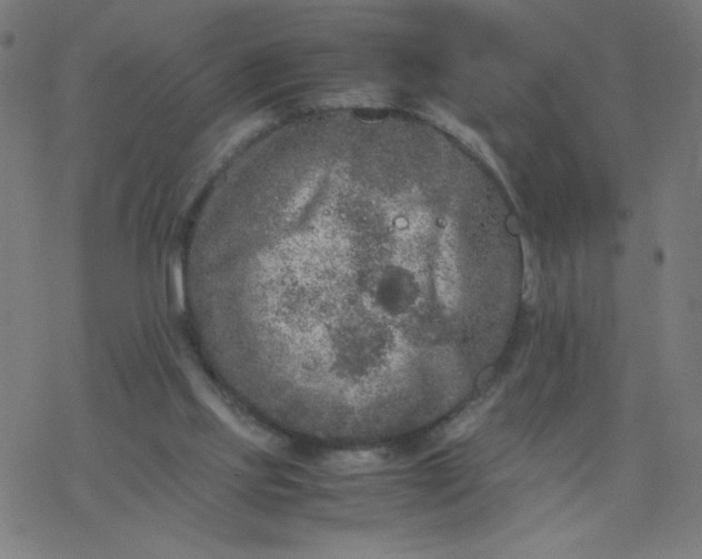 X0000077380061200611031947