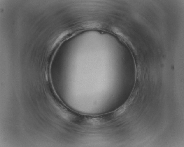 X0000077380062200611031947