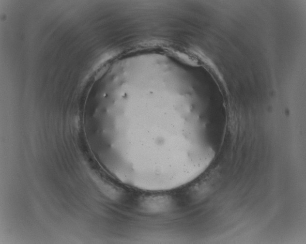 X0000077380063200611031947