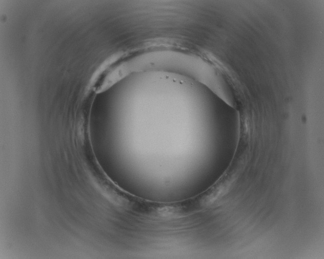 X0000077380064200611031947