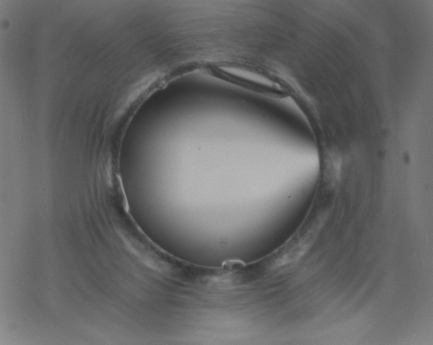 X0000077380068200611031947