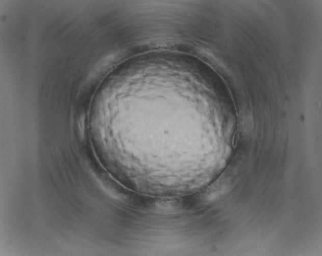 X0000077380070200611031947