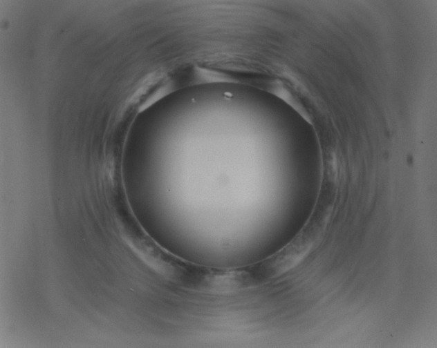 X0000077380072200611031947