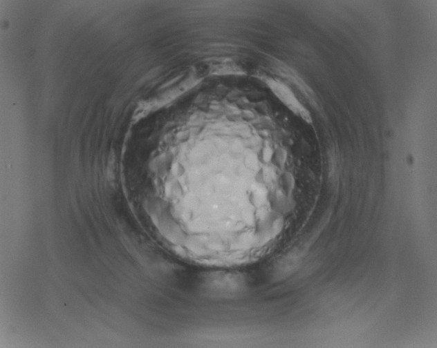 X0000077380073200611031947