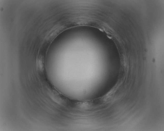 X0000077380074200611031947