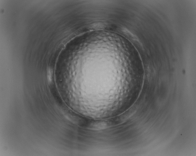 X0000077380075200611031947