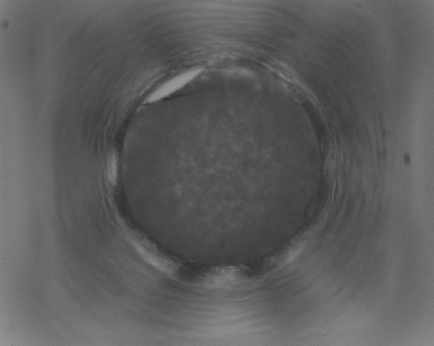 X0000077380076200611031947