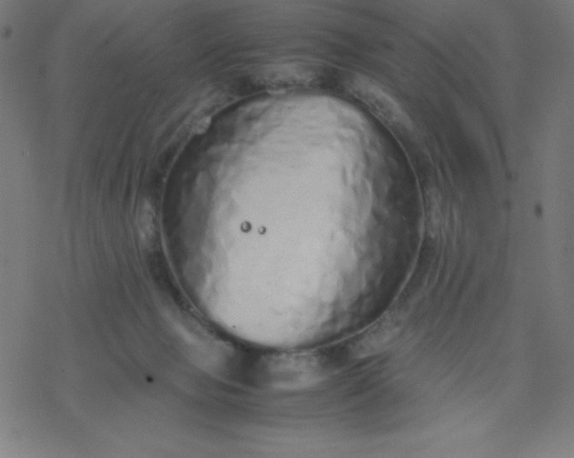 X0000077380077200611031947