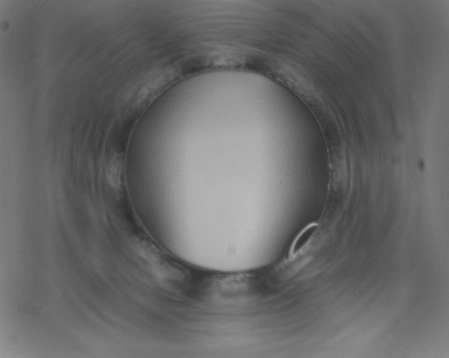 X0000077380078200611031947