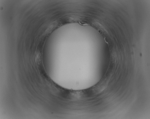 X0000077380079200611031947