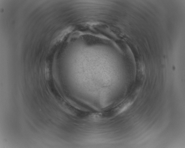 X0000077380080200611031947