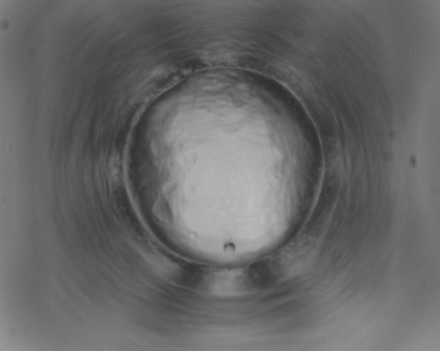 X0000077380081200611031947