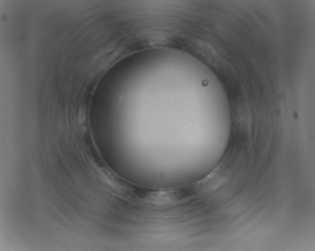 X0000077380082200611031947