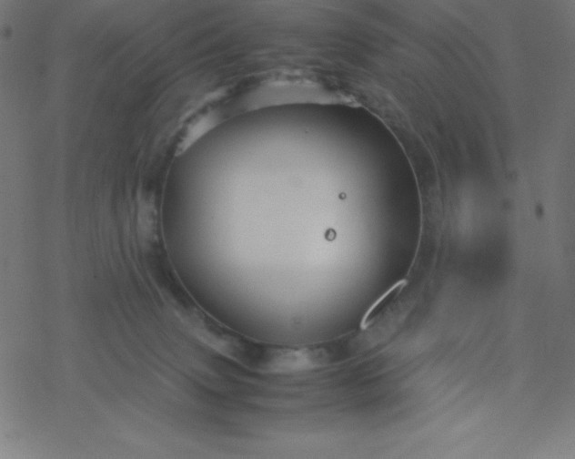 X0000077380083200611031947