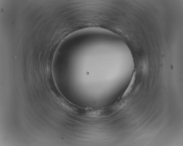 X0000077380084200611031947