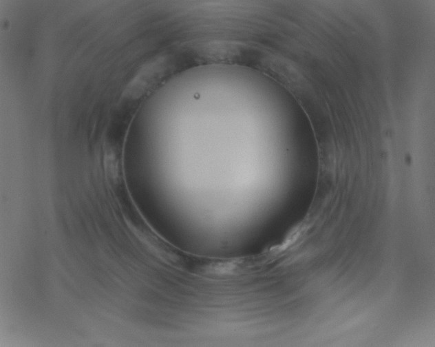 X0000077380086200611031947