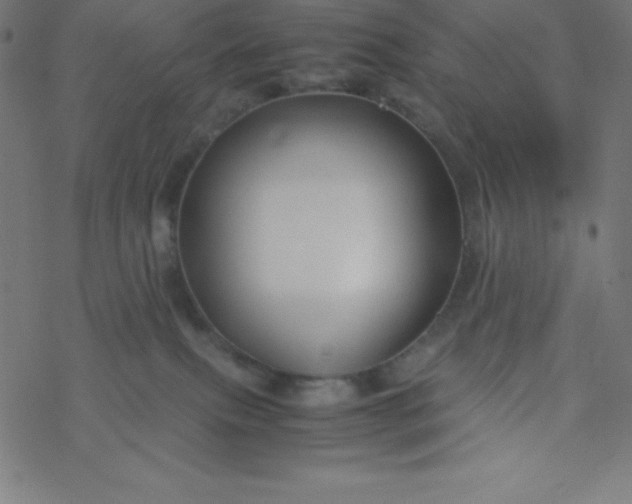 X0000077380087200611031947