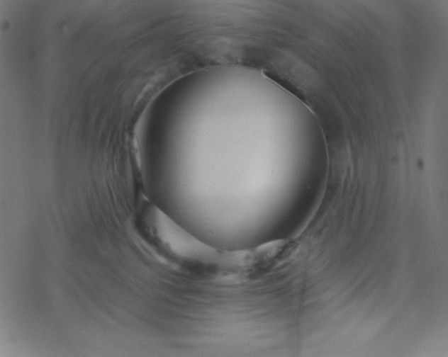 X0000077380088200611031947