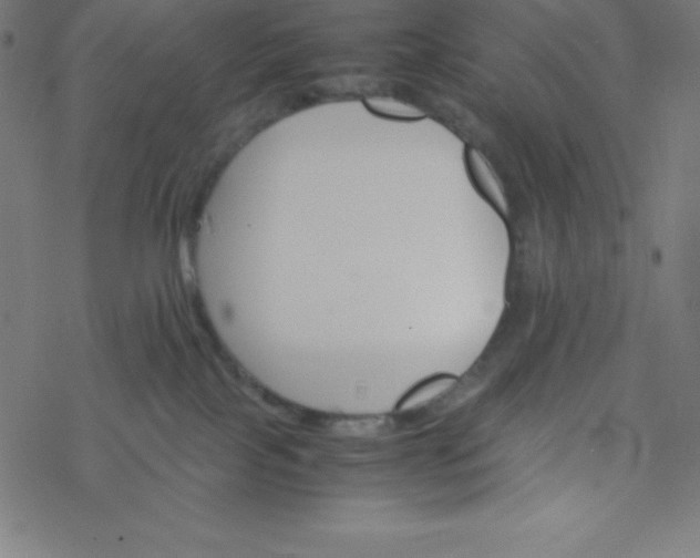 X0000077380089200611031947