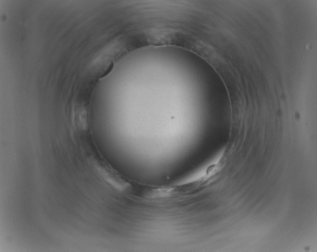 X0000077380090200611031947