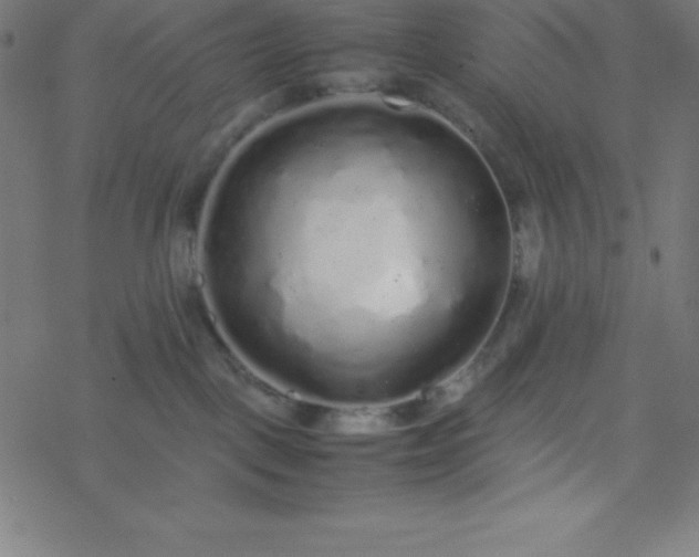 X0000077380093200611031947