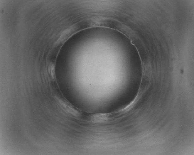 X0000077380094200611031947