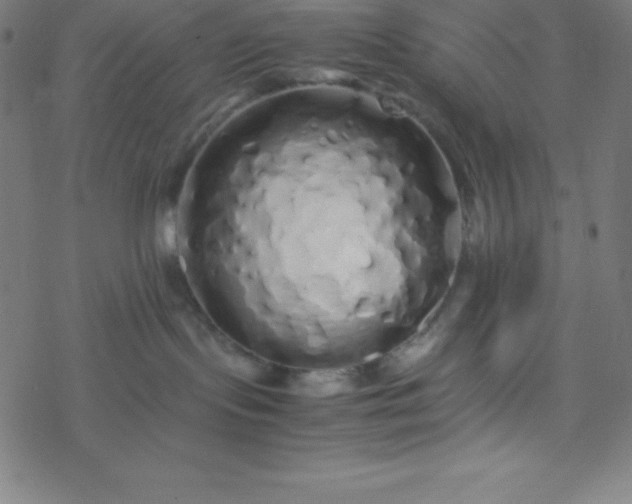 X0000077380095200611031947