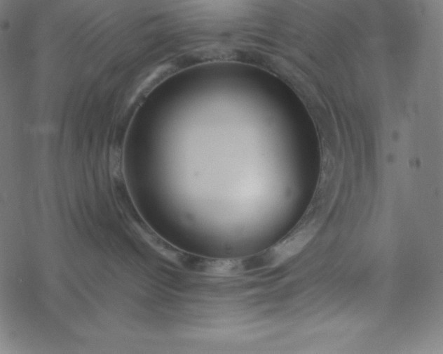 X0000077380096200611031947