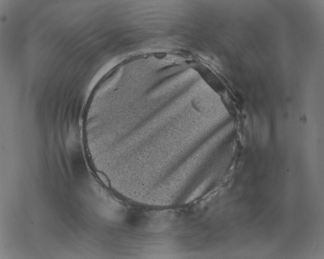 X0000077380100200611031946