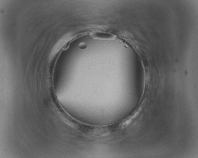 X0000077380101200611031946