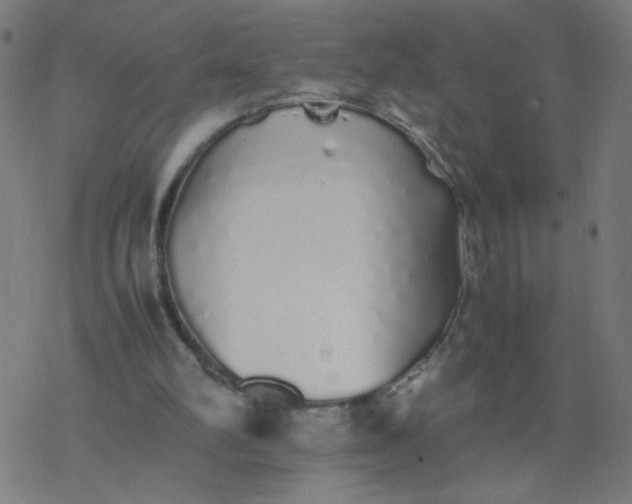 X0000077380102200611031946