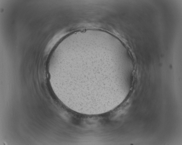 X0000077380103200611031946