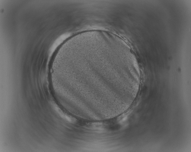 X0000077380104200611031946