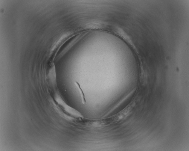 X0000077380106200611031946