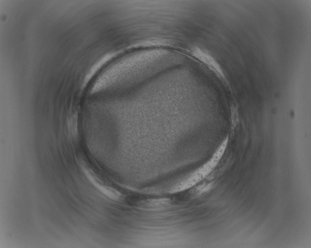 X0000077380108200611031946