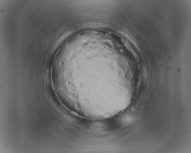 X0000077380111200611031946